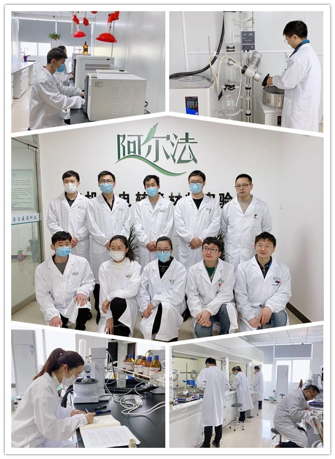 CAS No.4835-90-9 | 3-Hydroxy-2,2-dimethylpropanoic Acid